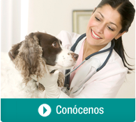 conocenos